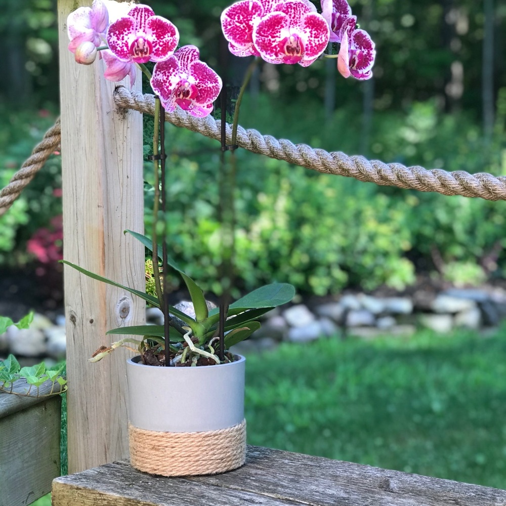Flower Pot - Picture 3 of 3